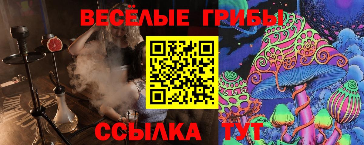 Галлюциногенные грибы Psilocybe Киреевск
